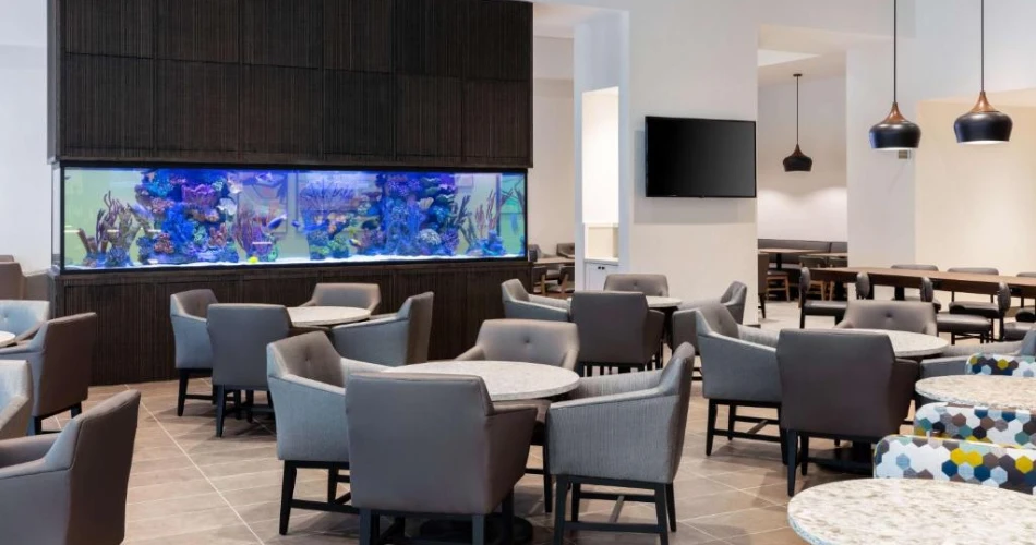 Find Your Perfect Stay: Hotels Near Mercedes-Benz Stadium in Atlanta
